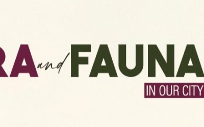 5 Oct: Explore Fauna and Flora Festival